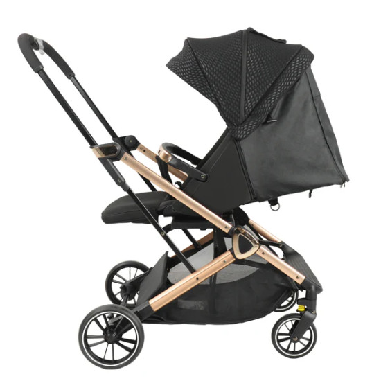 Baobaohao CK2 Two-Way Baby Stroller