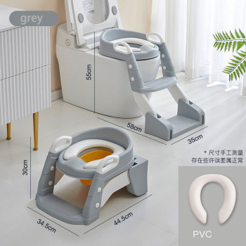 2-in-1 Potty Seat with Ladder | With Pot