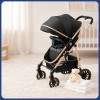 Luxury Baby Stroller with Carrycot & Car Seat Foldable Aluminum Alloy Frame| Color Black